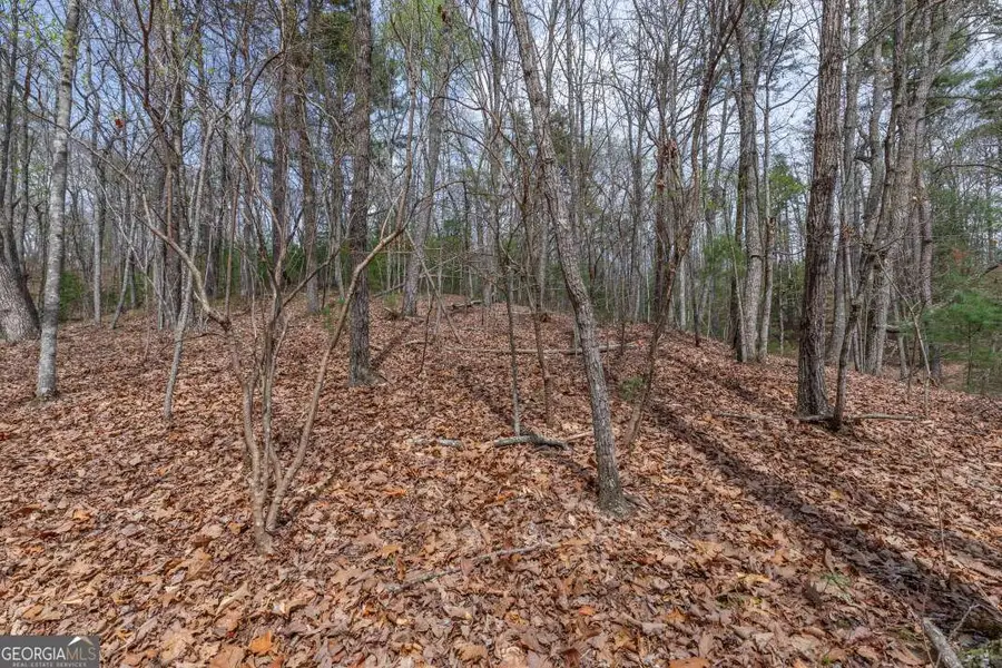 LOT 7A Glenridge Way, Ellijay, GA 30540 - #3
