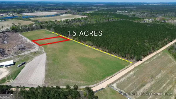 TRACT 4 - 112 Seahorse Road, Alma, GA 31510