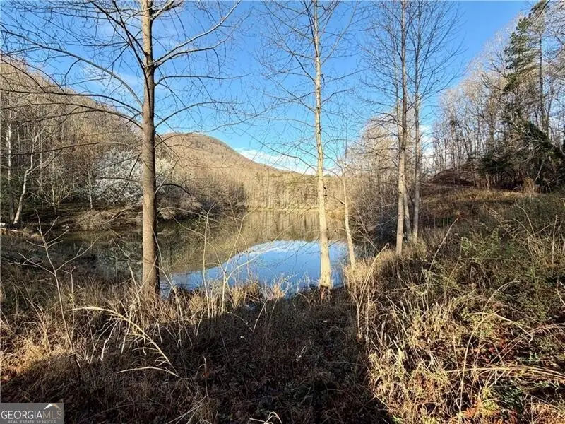 1565 Shoal Creek Road Nw, Clermont, GA 30527 - #2