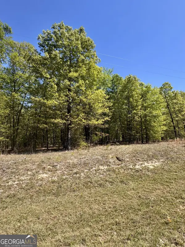 0 Dukes Road, Wadley, GA 30477