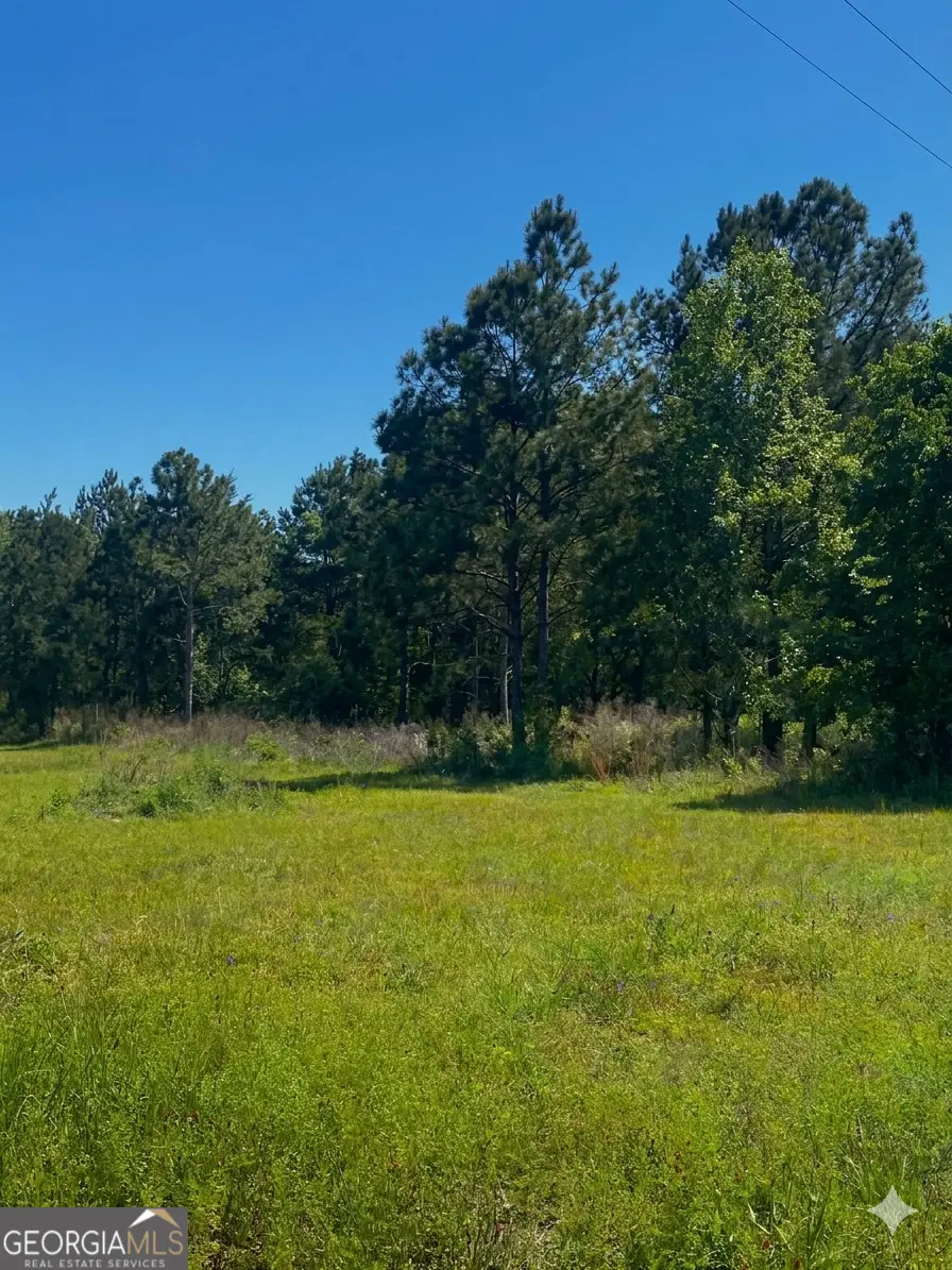 146 Arlington Drive, Americus, GA 31709 - #3