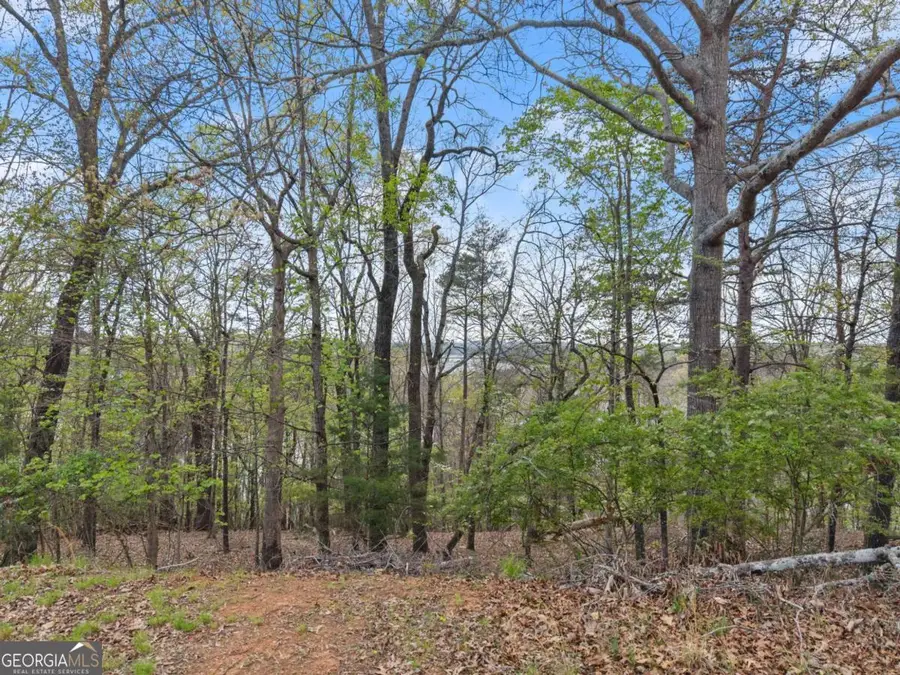 2528 Thompson Ovlk, Gainesville, GA 30506 - #3