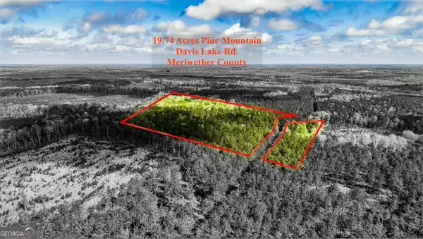 19.74 ACRES Davis Lake Road, Pine Mountain, GA 31822