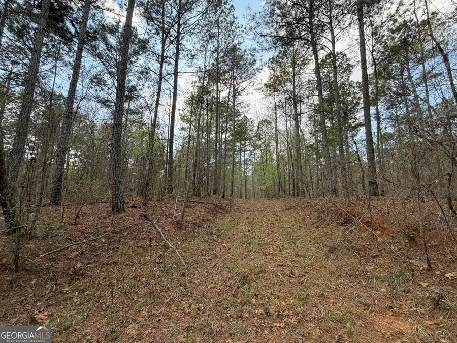19.74 ACRES Davis Lake Road, Pine Mountain, GA 31822 - #2