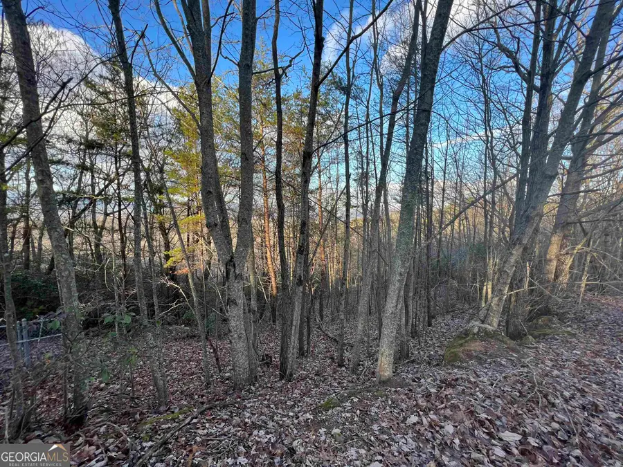 0 Daybreak Road, Cleveland, GA 30528 - #2