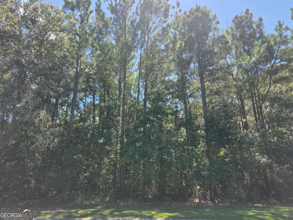 LOT 143 Canopy Lane, Waverly, GA 31565 - #1