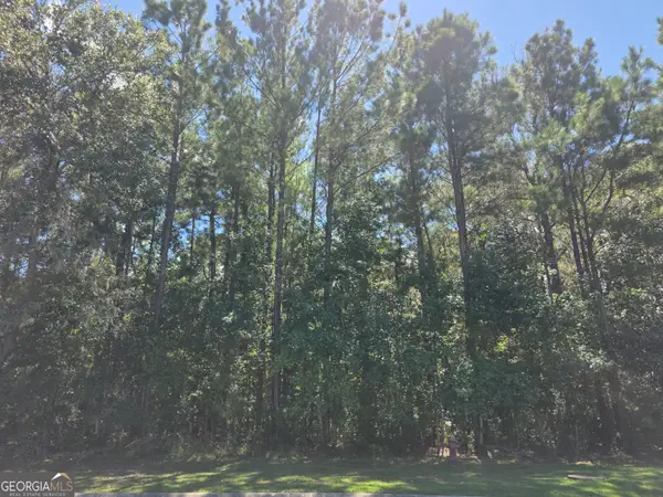 LOT 143 Canopy Lane, Waverly, GA 31565