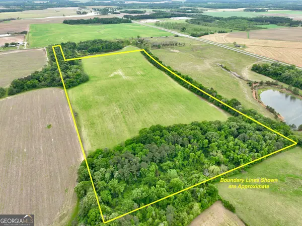 0 Fourteen Lane Road, Hawkinsville, GA 31036