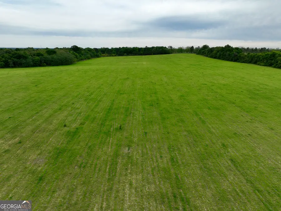 0 Fourteen Lane Road, Hawkinsville, GA 31036 - #2