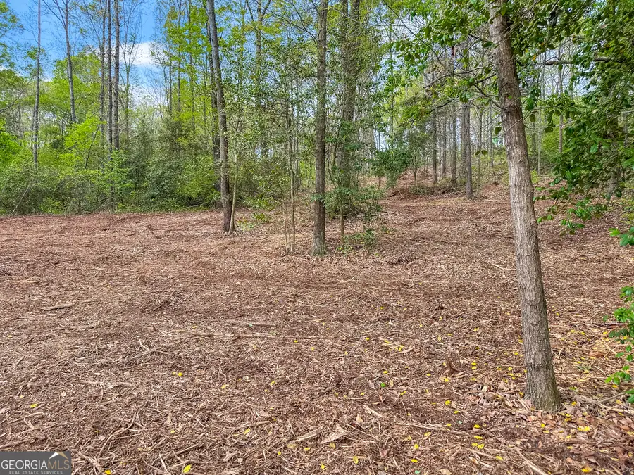 101 Broad River Road #LOT 7, Eastanollee, GA 30538 - #3