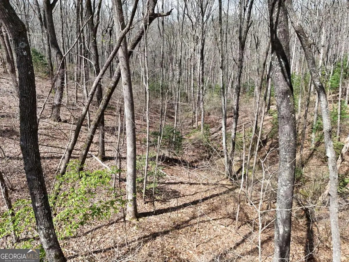 L129/124 Laurel Crossing, Blue Ridge, GA 30513 - #1