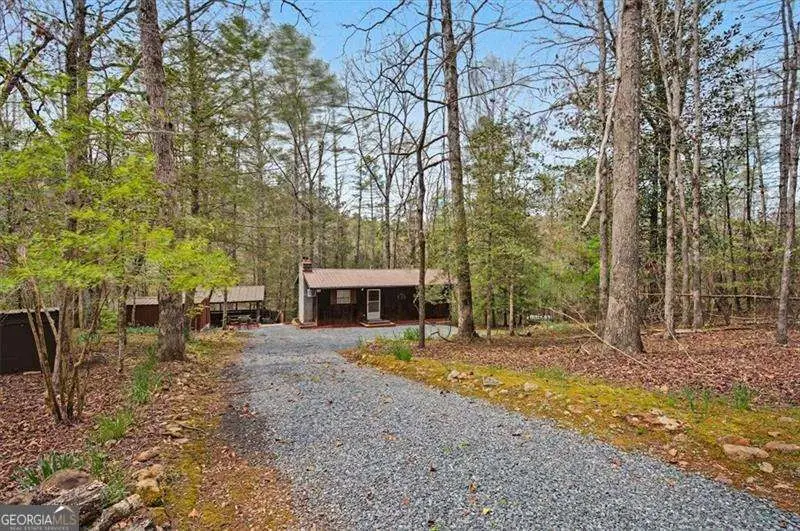 68 Hawk Lane, Ellijay, GA 30540 - #3