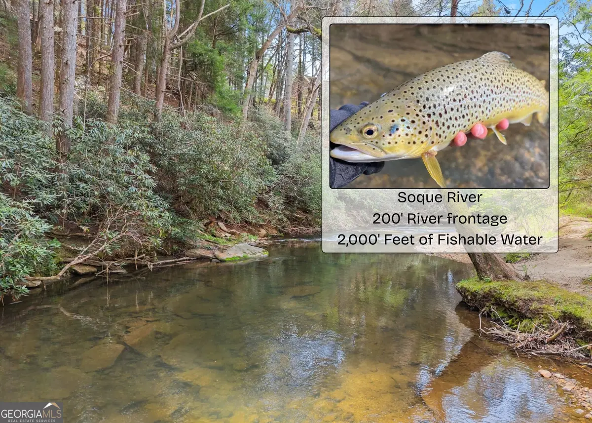 LOT 19 Soque Circle, Clarkesville, GA 30523 - #1