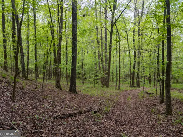 0 Georgia Kaolin Road, Dry Branch, GA 31020