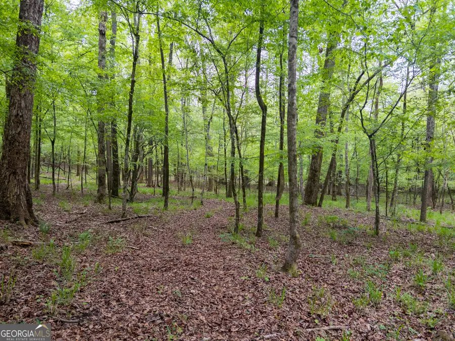 0 Georgia Kaolin Road, Dry Branch, GA 31020 - #2