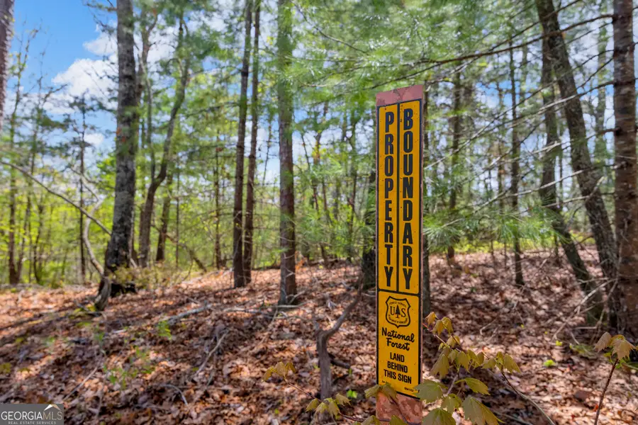 108 Dodge Lane, Lakemont, GA 30552 - #2