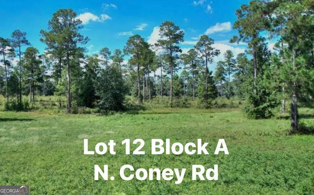 TBD N Coney Rd Lot 12 Block A, Cordele, GA 31015 - #1