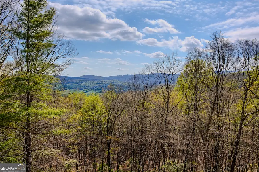 156 Sky High Drive, Ellijay, GA 30536 - #2