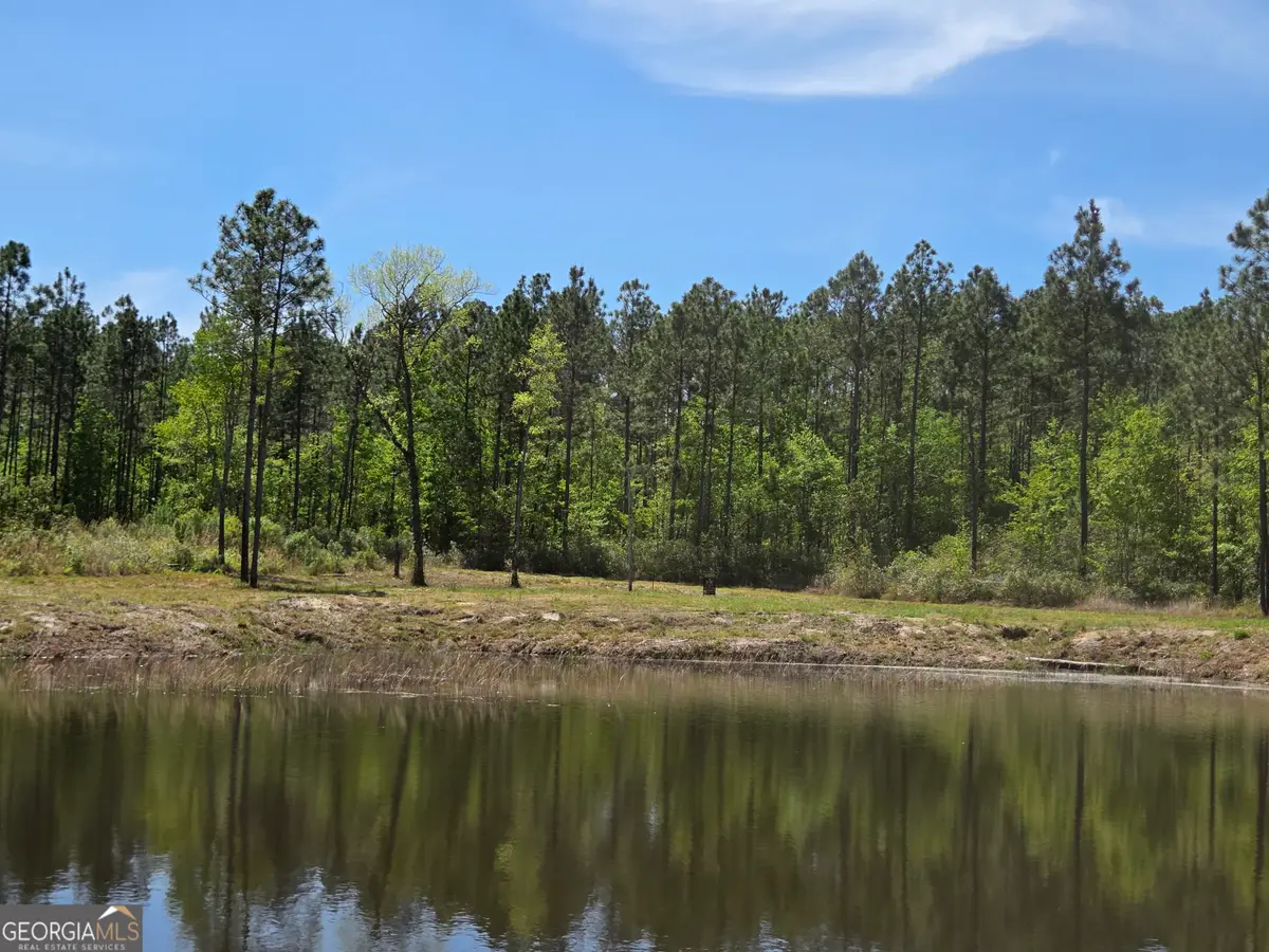 00 Serenity Lane, Vidalia, GA 30474 - #1