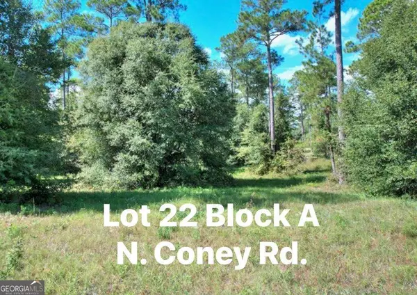TBD N Coney Rd Lot 22 Block A, Cordele, GA 31015