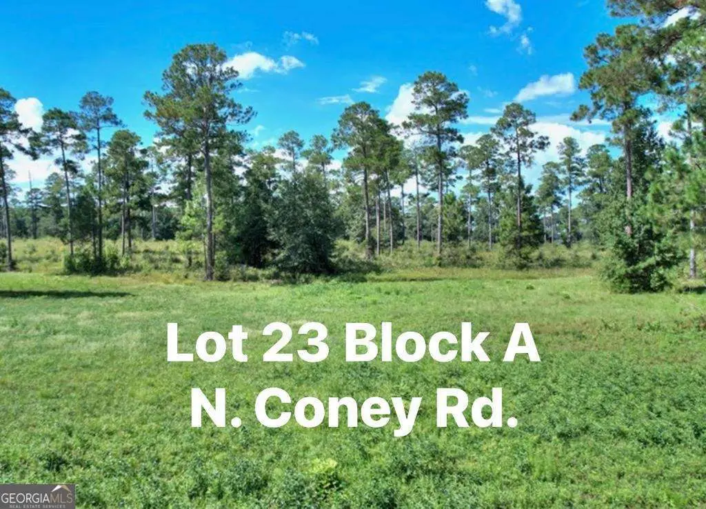TBD N Coney Rd Lot 23 Block A, Cordele, GA 31015 - #1