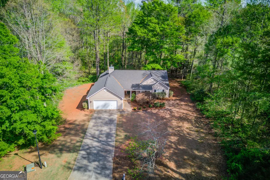 925 Nature Trail, Bethlehem, GA 30620 - #2
