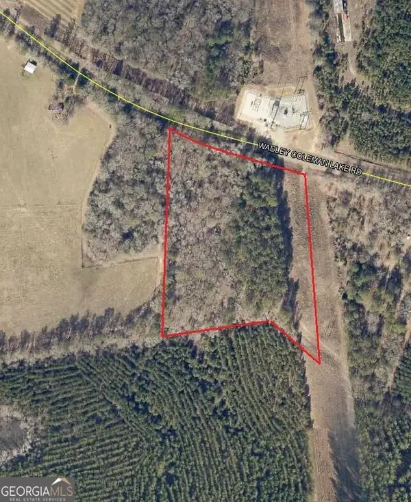 0 Wadley Coleman Lake Road, Midville, GA 30441
