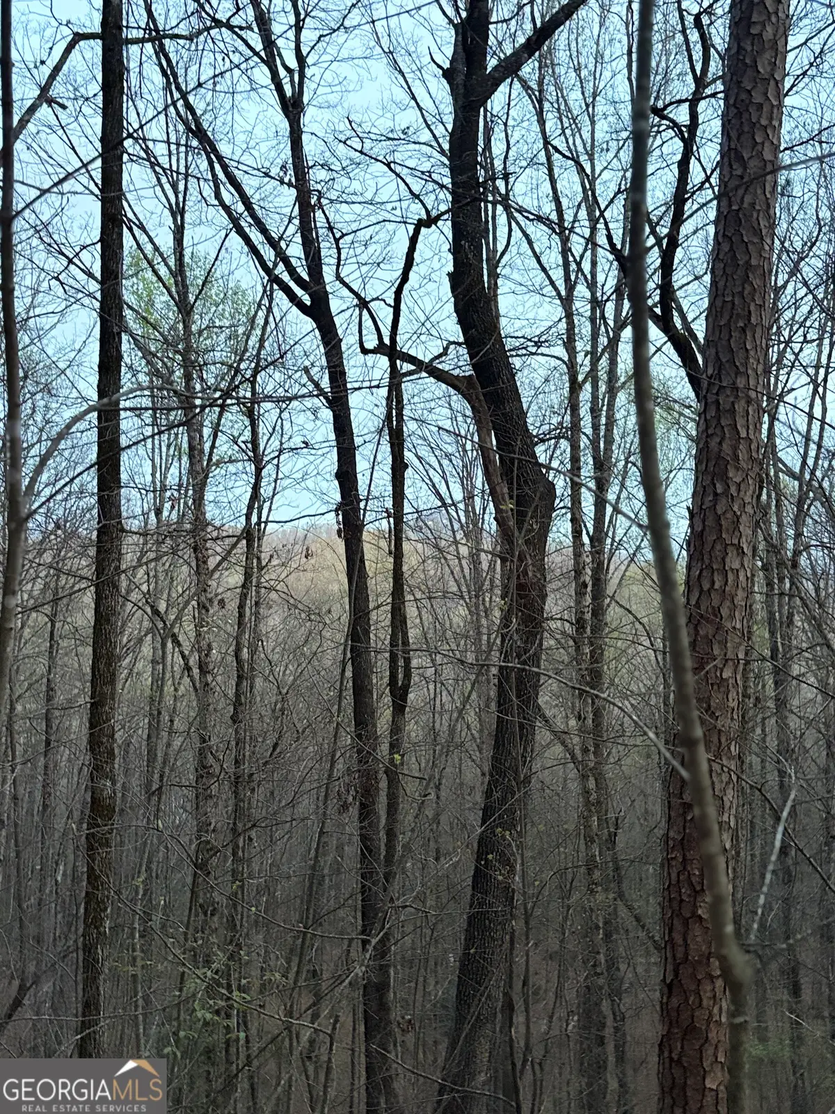 0 Highway 197, Clayton, GA 30525 - #1