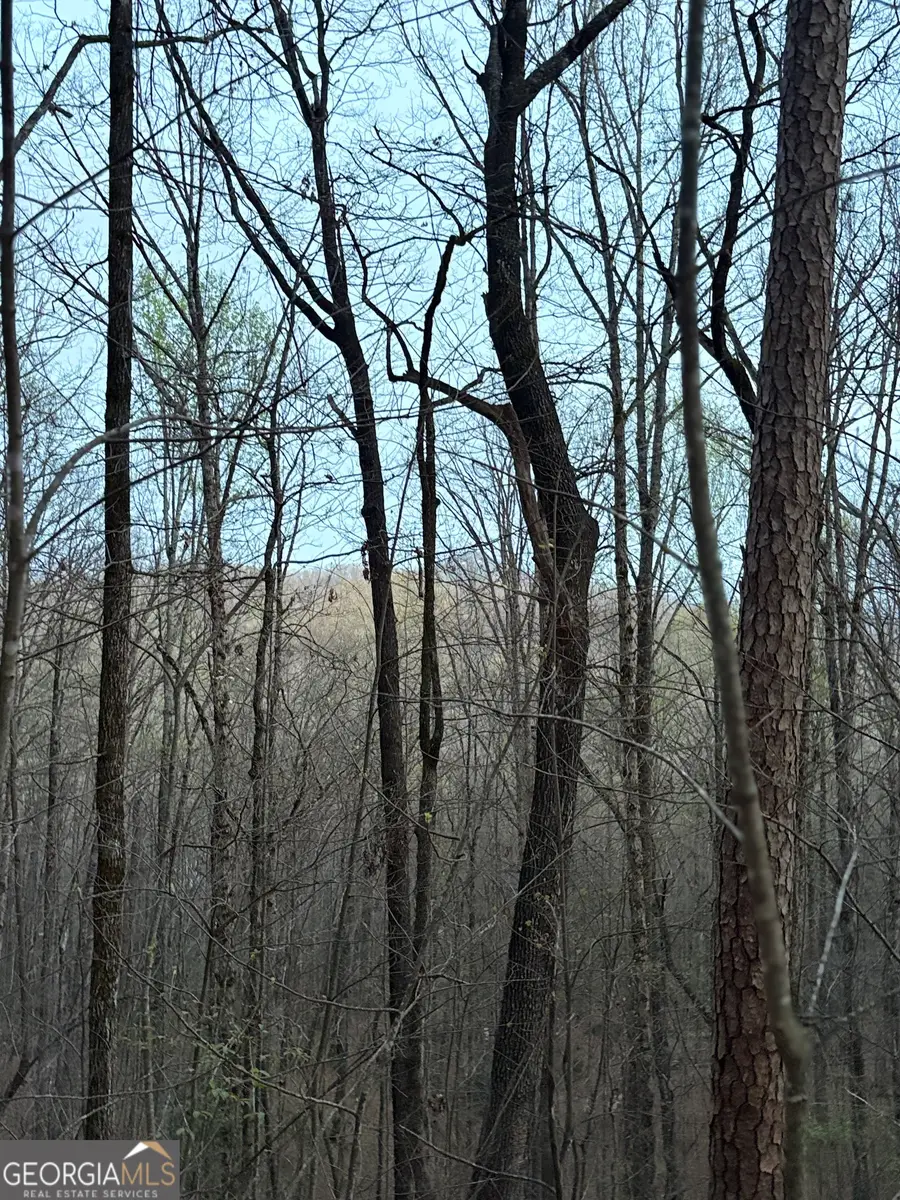 0 Highway 197, Clayton, GA 30525 - #2