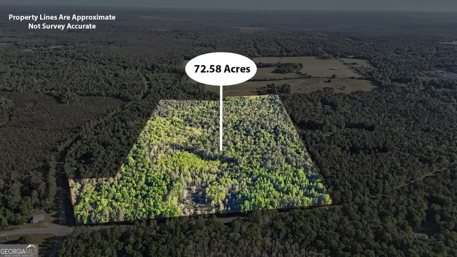 0 Union Church Road, Fort Valley, GA 31030 - #3