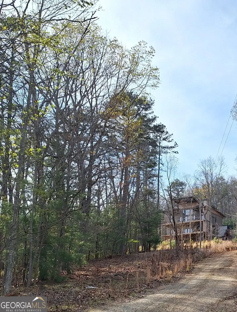 0 Mull Lane Circle, Morganton, GA 30560 - #3