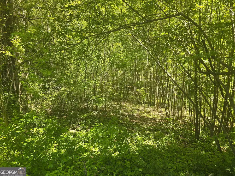 0 Hilltop Lane, Toccoa, GA 30577 - #2