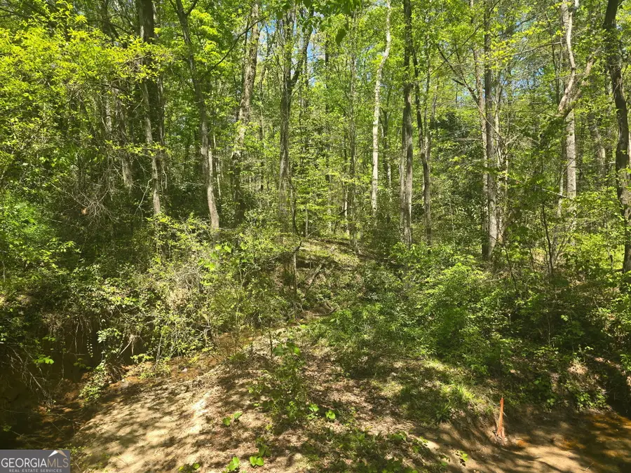 0 Hilltop Lane, Toccoa, GA 30577 - #3