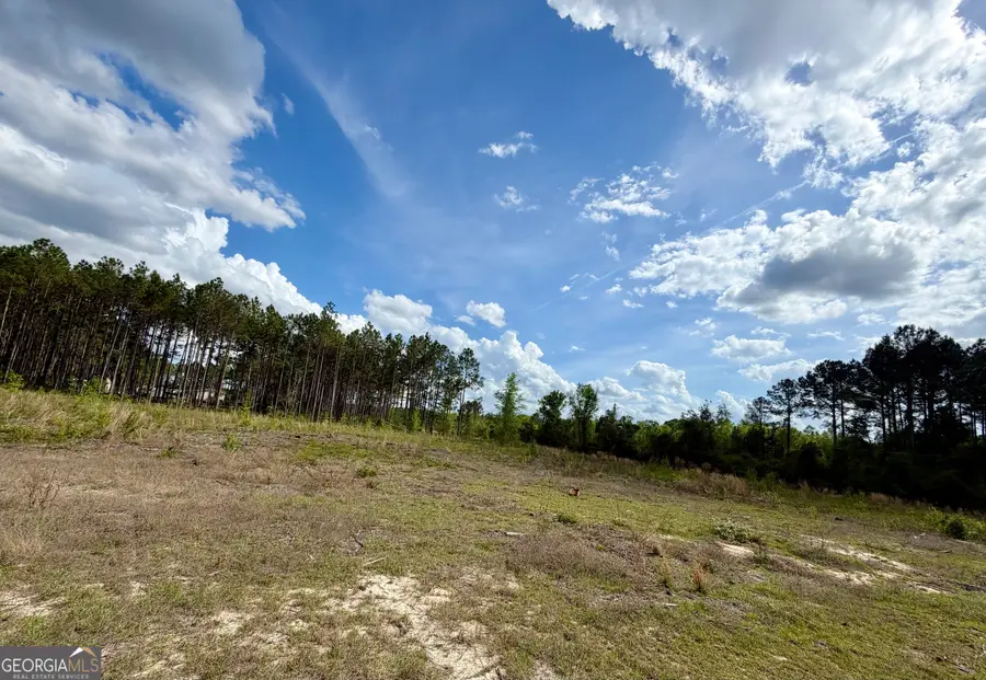 0 Graham Road, Cadwell, GA 31009 - #2