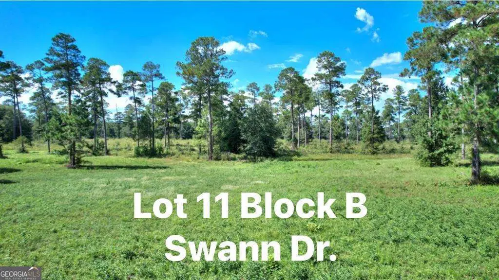 TBD Swann Dr Lot 11 Block B, Cordele, GA 31015 - #1