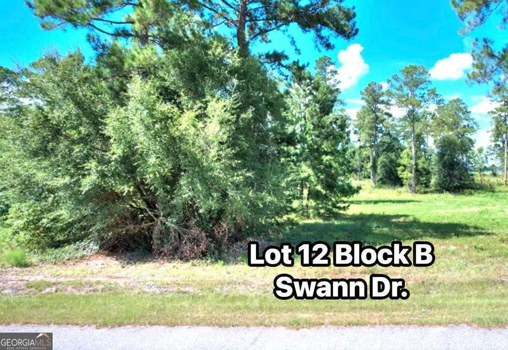 TBD Swann Dr Lot 12 Block B, Cordele, GA 31015 - #1