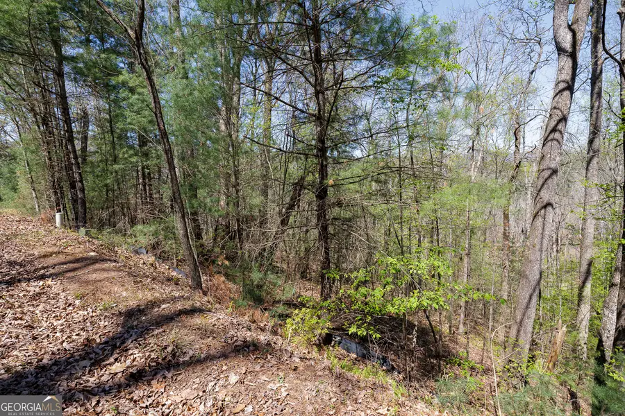 0 Laurel Trail #LOT 54, Suches, GA 30572 - #3