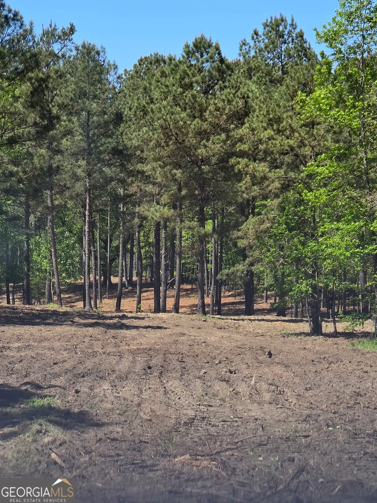 55 +/- AC Mt Carmel, Senoia, GA 30276 - #1