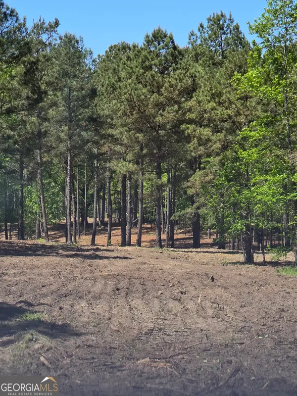 55 +/- AC Mt Carmel, Senoia, GA 30276