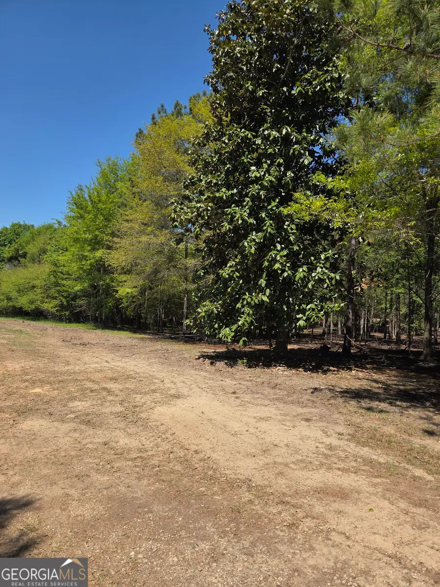 55 +/- AC Mt Carmel, Senoia, GA 30276 - #2