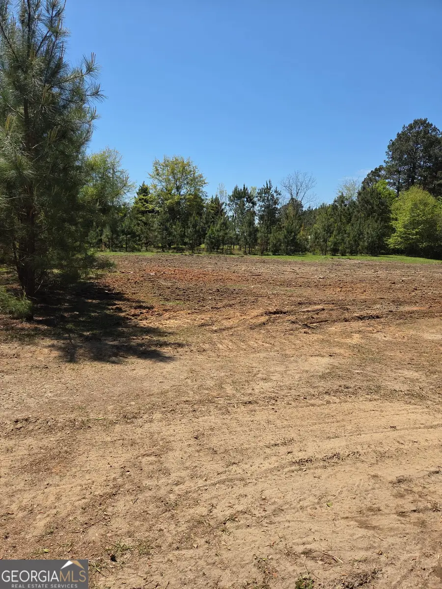 55 +/- AC Mt Carmel, Senoia, GA 30276 - #3