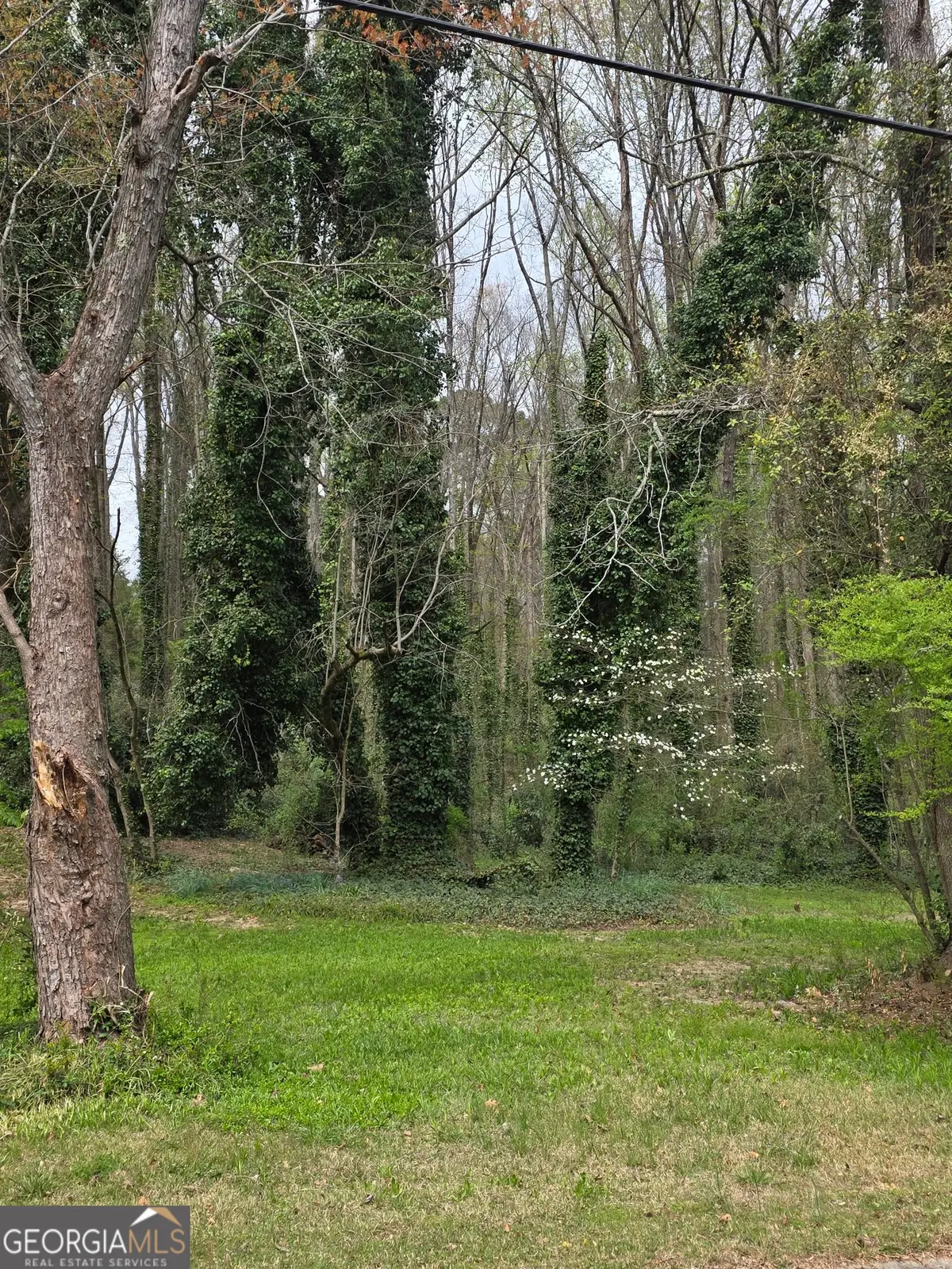 109 Creek Hollow Drive, Woodstock, GA 30188 - #1