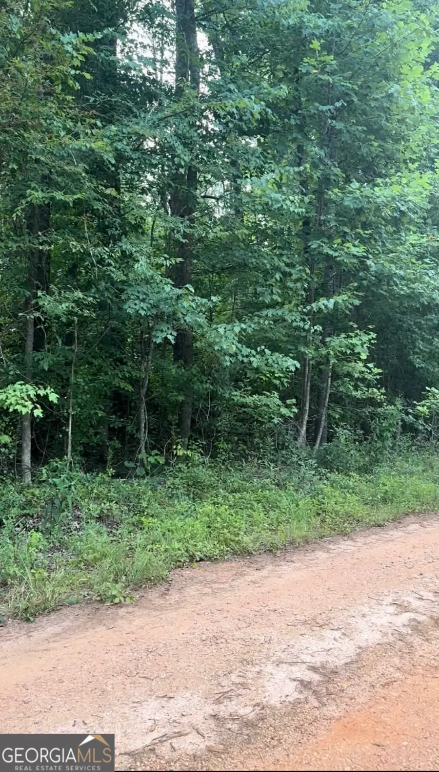 0 Morris Trail Lot 2, Carnesville, GA 30521 - #2