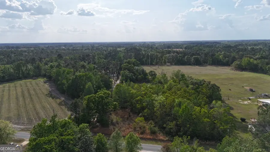 TRACT 3 Spring Branch Road, Baxley, GA 31513 - #2