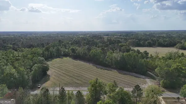 TRACT 5 Spring Branch Road, Baxley, GA 31513