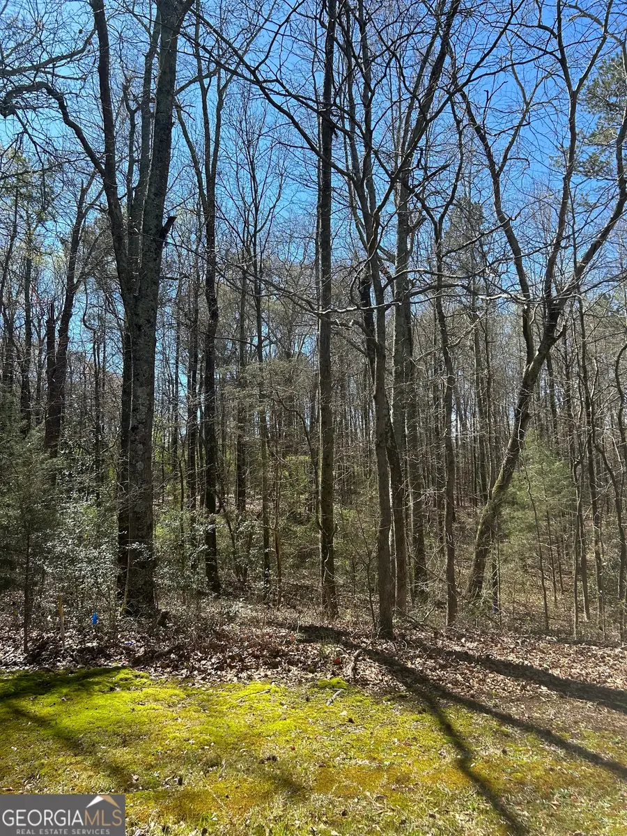 0 Harts Mill Rd, Hartwell, GA 30643 - #3