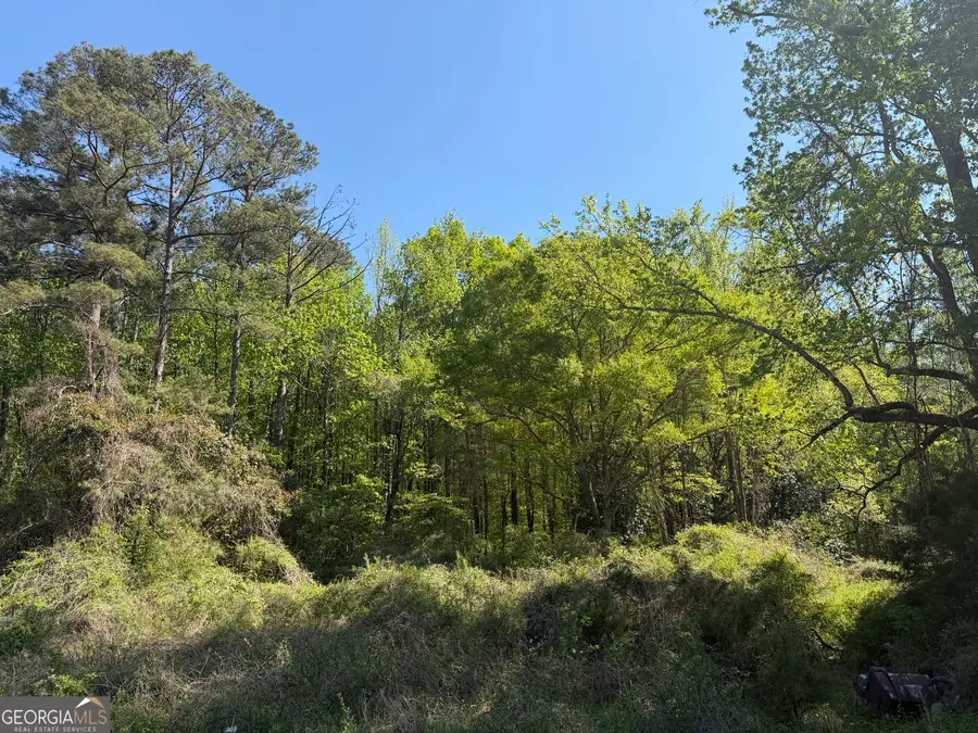 1574 Mt Bethel Road, McDonough, GA 30252 - #2