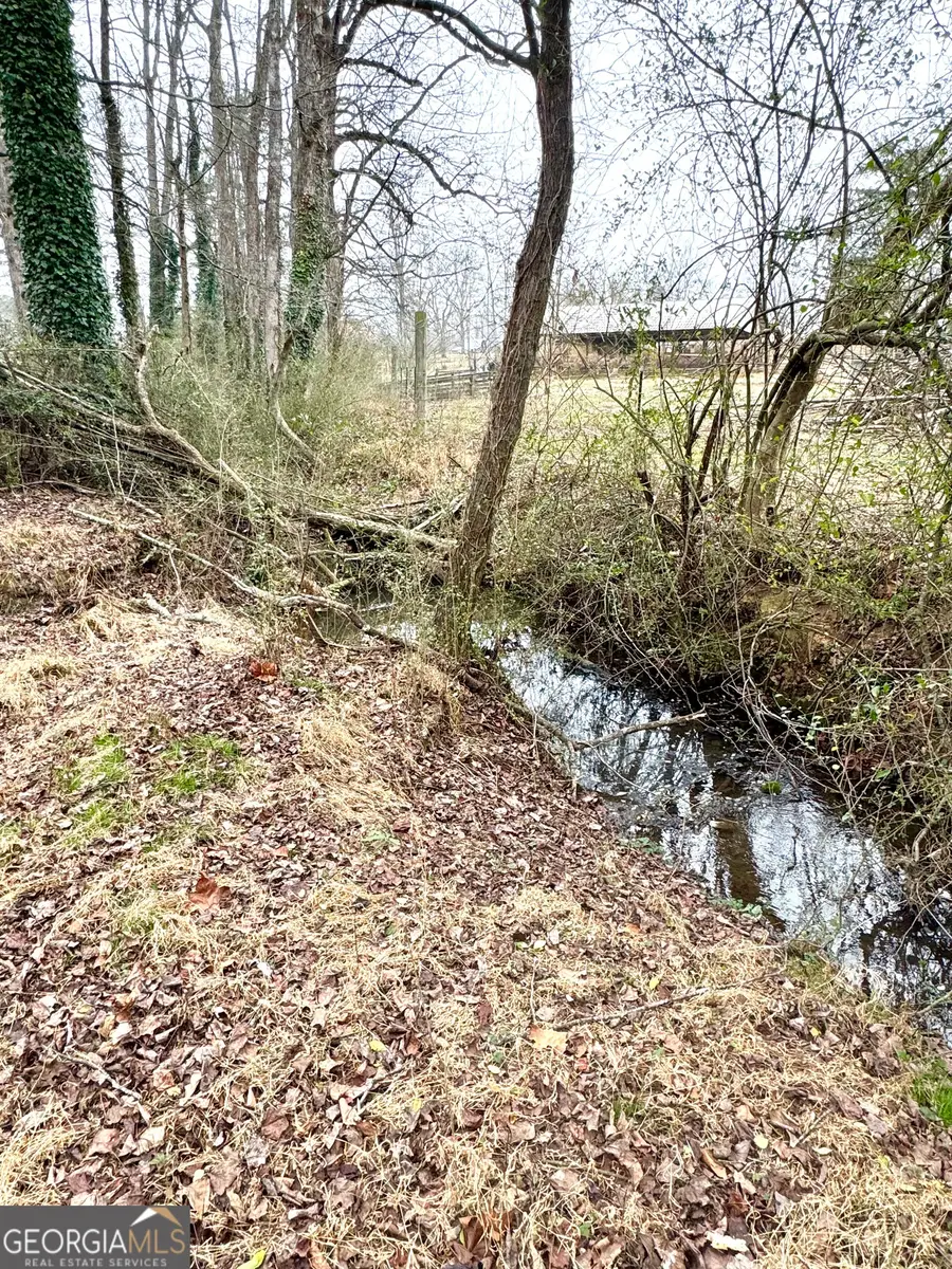 316 Bar Rod Road, Demorest, GA 30535 - #3