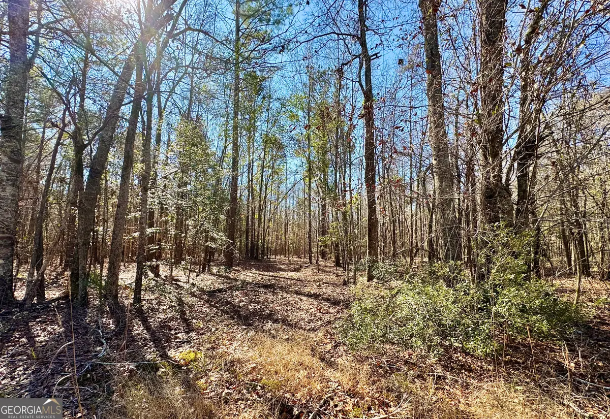 1 Cross Cedar Road, Wrightsville, GA 31096 - #1