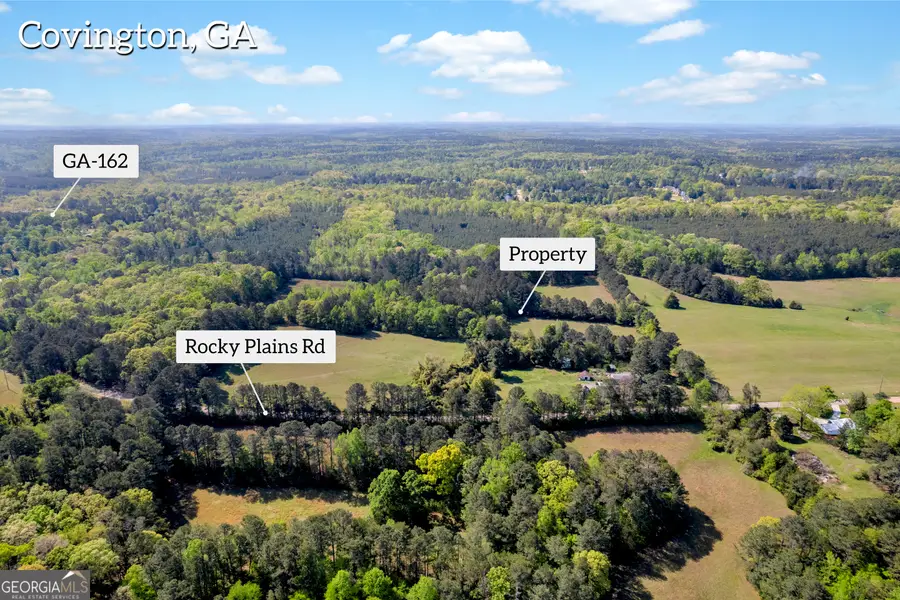 1025 Rocky Plains Road, Covington, GA 30016 - #2